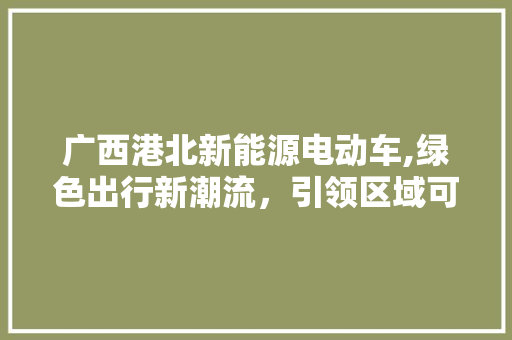 广西港北新能源电动车,绿色出行新潮流，引领区域可持续发展