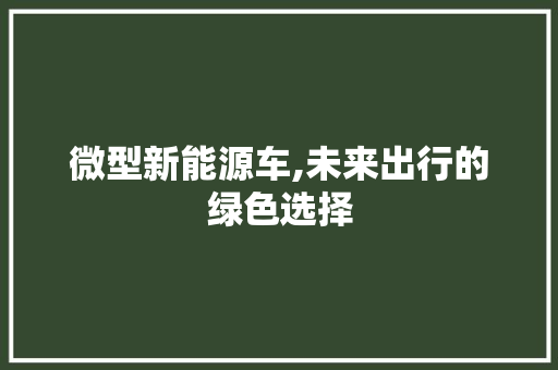 微型新能源车,未来出行的绿色选择