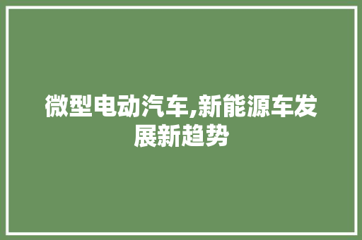 微型电动汽车,新能源车发展新趋势