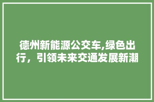 德州新能源公交车,绿色出行，引领未来交通发展新潮流 智能驾驶