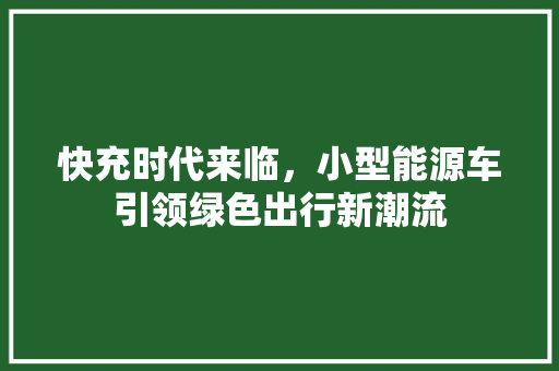 快充时代来临，小型能源车引领绿色出行新潮流