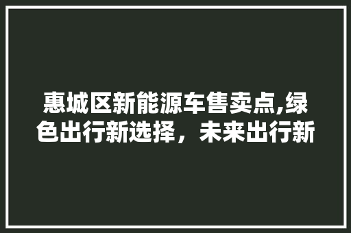 惠城区新能源车售卖点,绿色出行新选择，未来出行新风向标