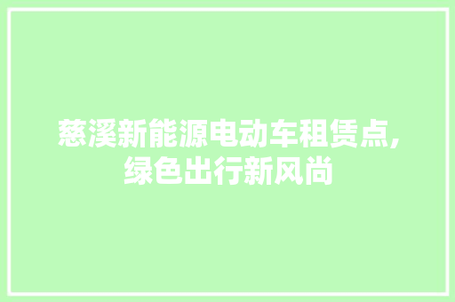慈溪新能源电动车租赁点,绿色出行新风尚