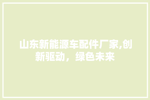 山东新能源车配件厂家,创新驱动，绿色未来