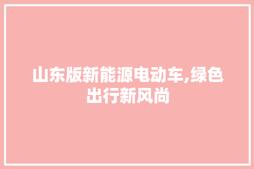 山东版新能源电动车,绿色出行新风尚 车联网技术