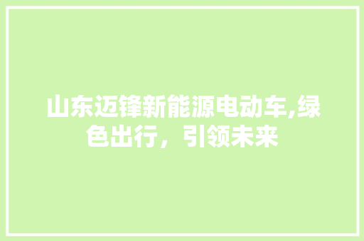 山东迈锋新能源电动车,绿色出行，引领未来