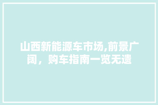 山西新能源车市场,前景广阔，购车指南一览无遗