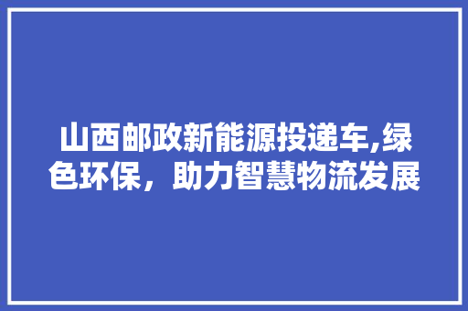 山西邮政新能源投递车,绿色环保，助力智慧物流发展 自动驾驶