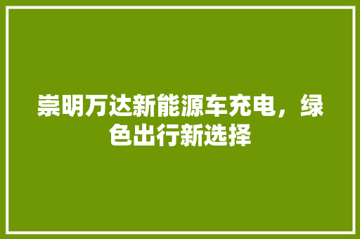 崇明万达新能源车充电，绿色出行新选择