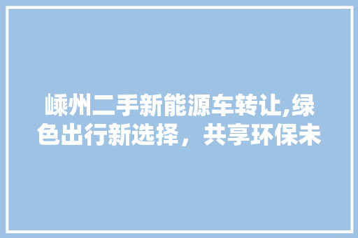 嵊州二手新能源车转让,绿色出行新选择，共享环保未来