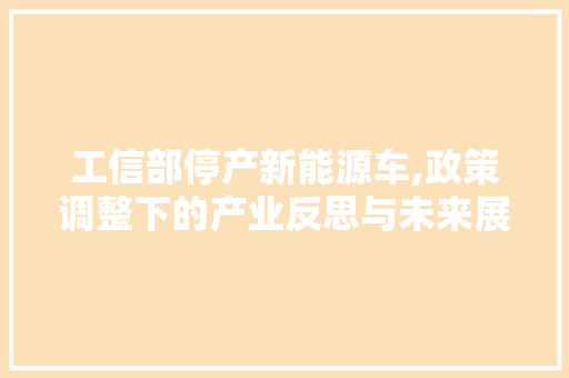 工信部停产新能源车,政策调整下的产业反思与未来展望