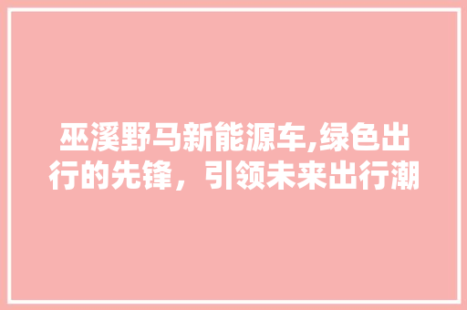 巫溪野马新能源车,绿色出行的先锋，引领未来出行潮流