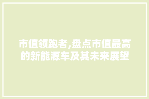 市值领跑者,盘点市值最高的新能源车及其未来展望