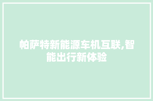 帕萨特新能源车机互联,智能出行新体验