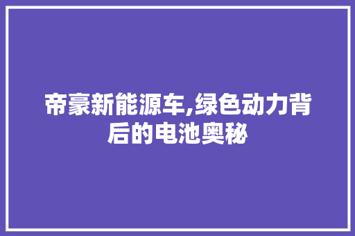 帝豪新能源车,绿色动力背后的电池奥秘