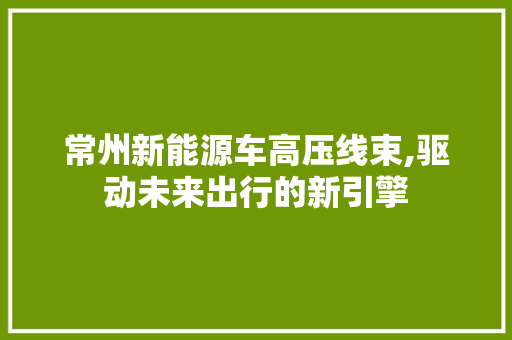 常州新能源车高压线束,驱动未来出行的新引擎 自动驾驶