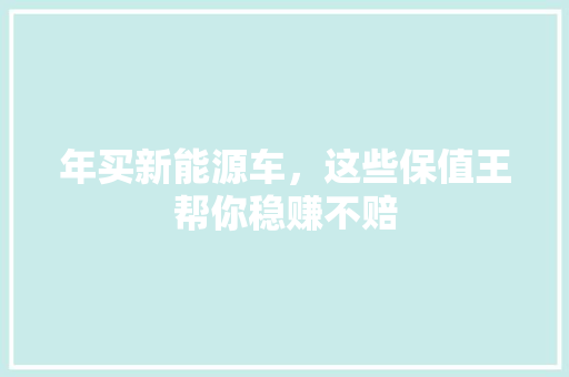 年买新能源车，这些保值王帮你稳赚不赔