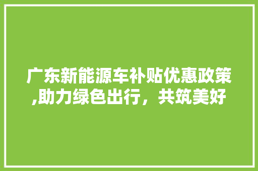 广东新能源车补贴优惠政策,助力绿色出行，共筑美好未来 智能驾驶