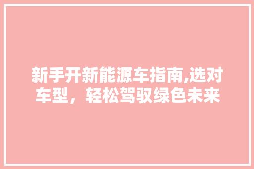 新手开新能源车指南,选对车型，轻松驾驭绿色未来