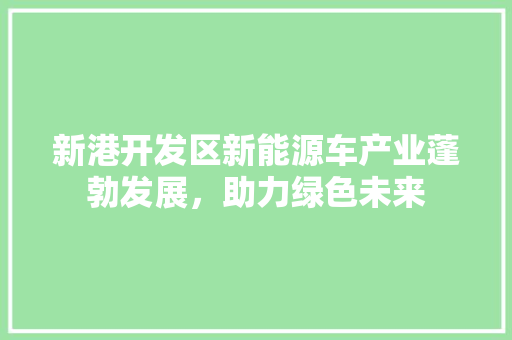 新港开发区新能源车产业蓬勃发展，助力绿色未来
