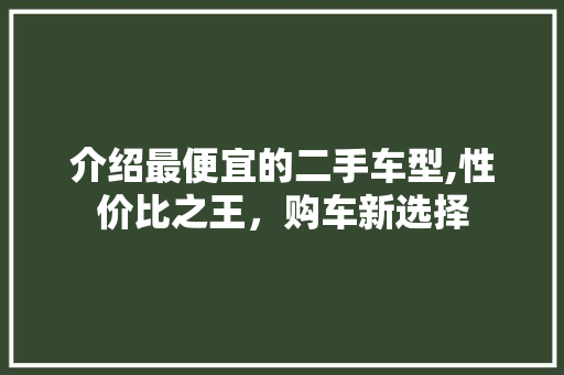 介绍最便宜的二手车型,性价比之王，购车新选择