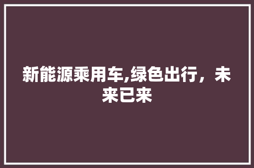 新能源乘用车,绿色出行，未来已来