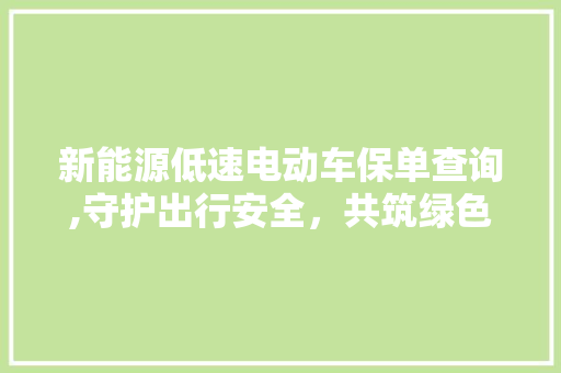 新能源低速电动车保单查询,守护出行安全，共筑绿色未来