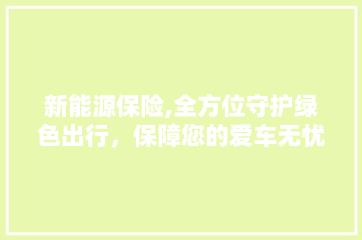 新能源保险,全方位守护绿色出行，保障您的爱车无忧