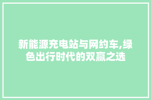 新能源充电站与网约车,绿色出行时代的双赢之选