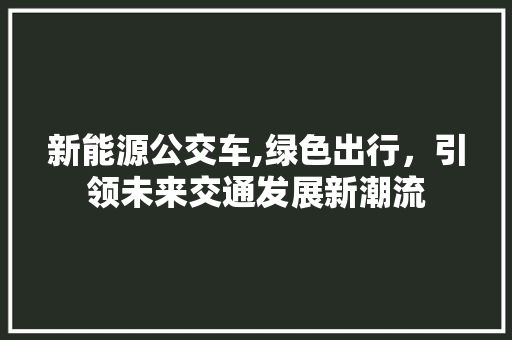 新能源公交车,绿色出行，引领未来交通发展新潮流
