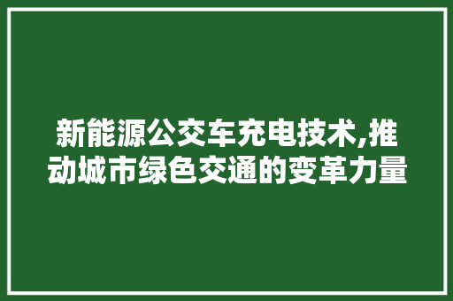新能源公交车充电技术,推动城市绿色交通的变革力量 汽车配件