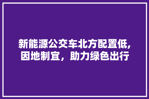 新能源公交车北方配置低,因地制宜，助力绿色出行
