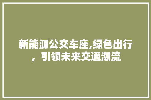 新能源公交车座,绿色出行，引领未来交通潮流