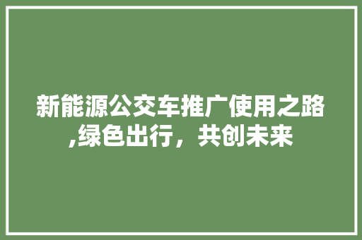 新能源公交车推广使用之路,绿色出行，共创未来