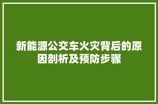 新能源公交车火灾背后的原因剖析及预防步骤