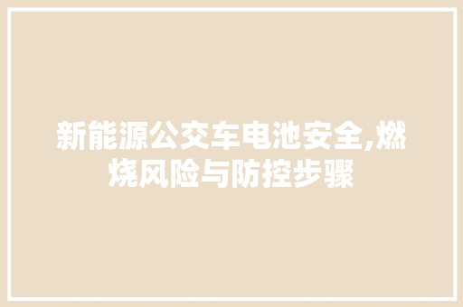 新能源公交车电池安全,燃烧风险与防控步骤