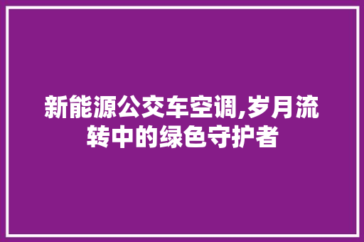 新能源公交车空调,岁月流转中的绿色守护者