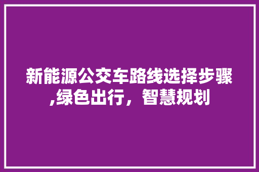 新能源公交车路线选择步骤,绿色出行，智慧规划 混合动力车