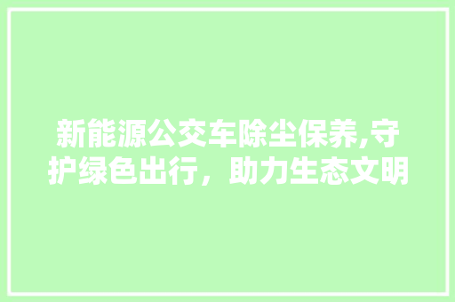 新能源公交车除尘保养,守护绿色出行，助力生态文明 车载导航
