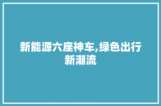 新能源六座神车,绿色出行新潮流