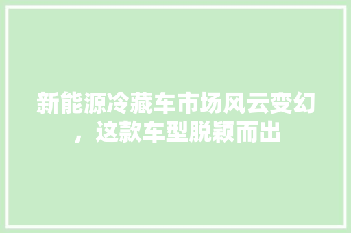 新能源冷藏车市场风云变幻，这款车型脱颖而出