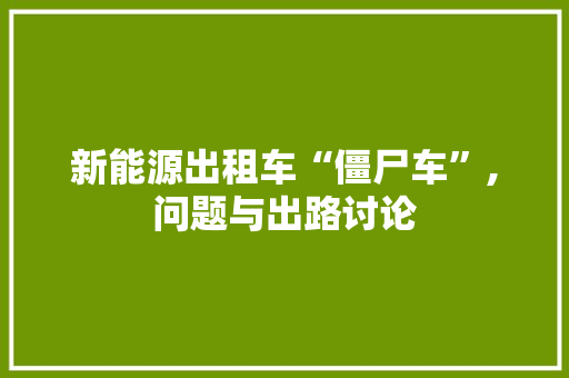 新能源出租车“僵尸车”,问题与出路讨论