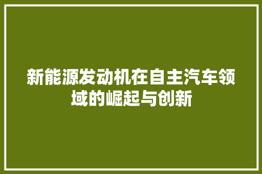 新能源发动机在自主汽车领域的崛起与创新 车联网技术