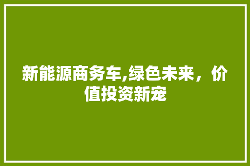 新能源商务车,绿色未来，价值投资新宠