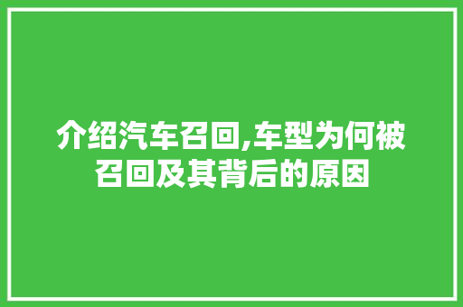 介绍汽车召回,车型为何被召回及其背后的原因