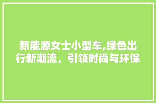 新能源女士小型车,绿色出行新潮流，引领时尚与环保双重风潮