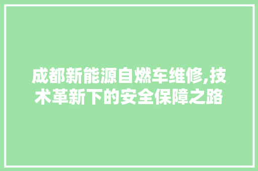 成都新能源自燃车维修,技术革新下的安全保障之路