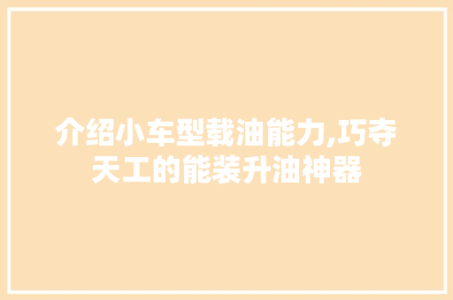 介绍小车型载油能力,巧夺天工的能装升油神器