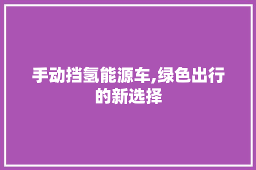 手动挡氢能源车,绿色出行的新选择