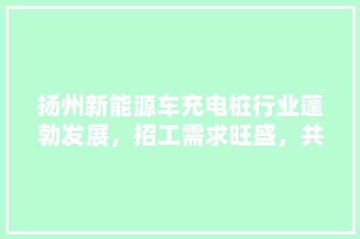 扬州新能源车充电桩行业蓬勃发展，招工需求旺盛，共筑绿色出行未来
